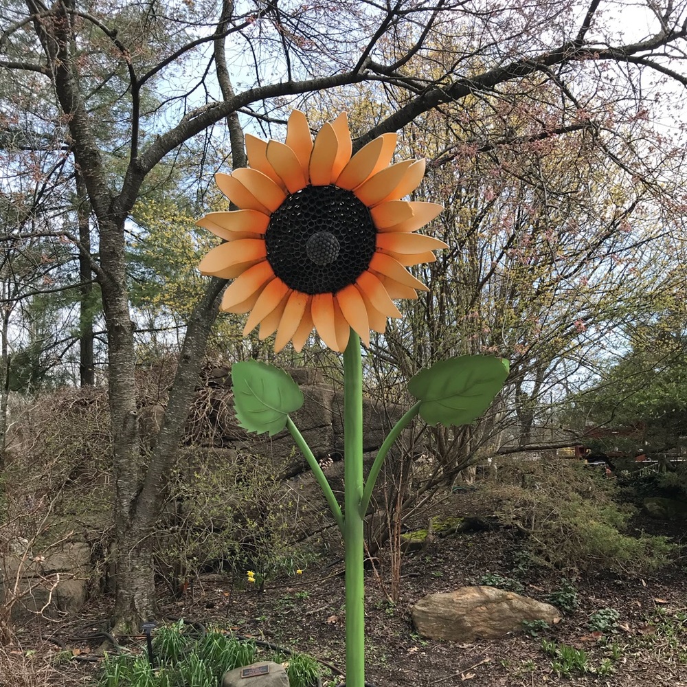 Meet your Posher, Candase